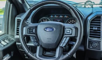 2015 Ford F-150 full