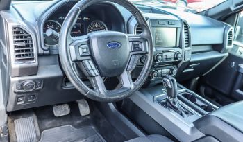 2015 Ford F-150 full