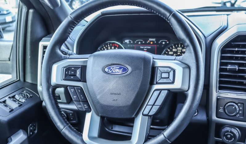 2019 Ford F-150 full