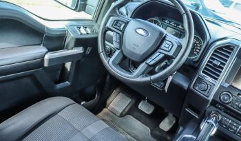 2015 Ford F-150 full