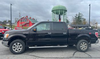 2013 Ford F-150 full