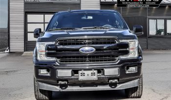 2019 Ford F-150 full