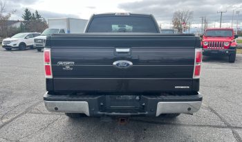 2013 Ford F-150 full