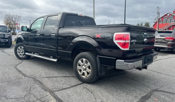 2013 Ford F-150 full