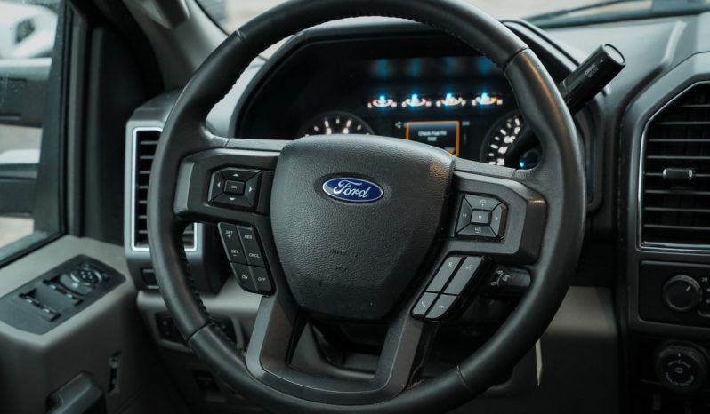 2019 Ford F-150 full