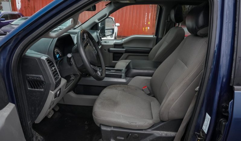 2019 Ford F-150 full