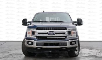 2019 Ford F-150 full